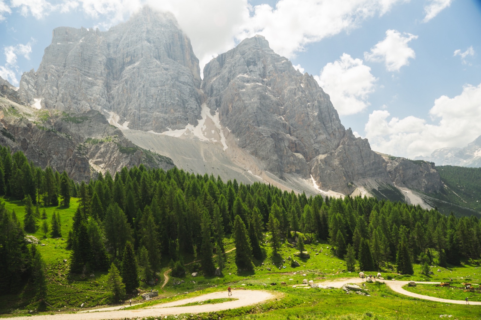 Pale limestone peaks rising above a pine forest and a winding trail