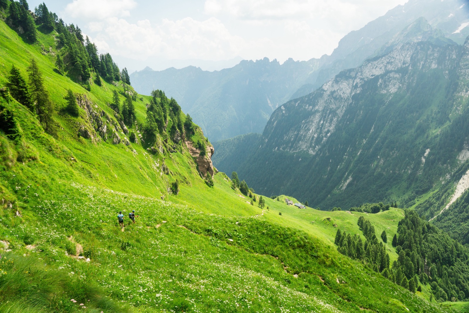 Runners on a steep green hillside above a deep alpine valley