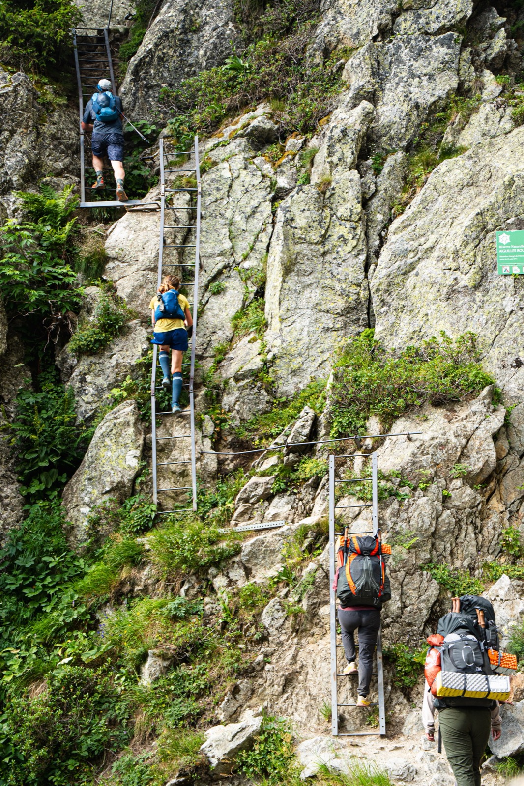 Runners climbing metal ladders up a rock face